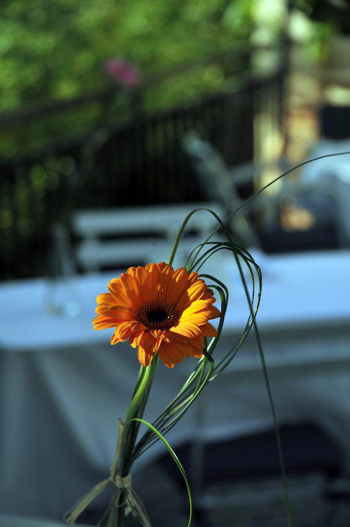 Le Moulin De Saint Laurent Hotel Luaran gambar